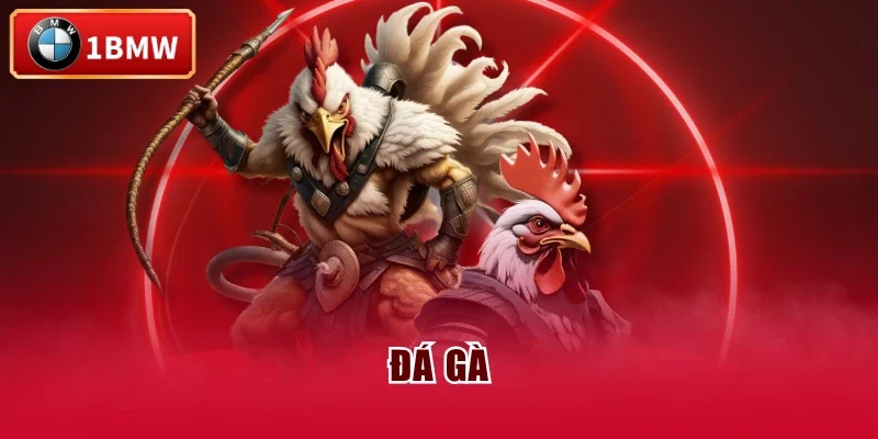 Đá gà