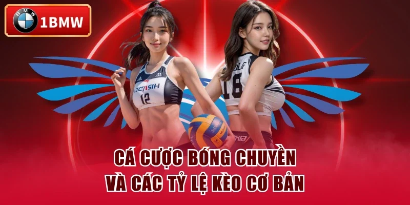 Cá cược bóng chuyền và các tỷ lệ kèo cơ bản