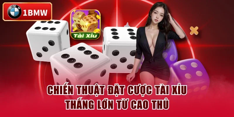 Chiến thuật đặt cược tài xỉu thắng lớn từ cao thủ