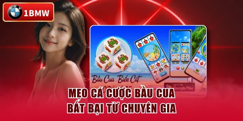 Mẹo cá cược bầu cua bất bại từ chuyên gia
